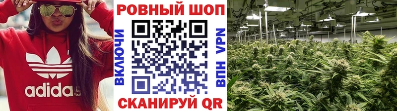 Где купить наркоту Ишим COCAIN  Кетамин  Мефедрон  А ПВП 