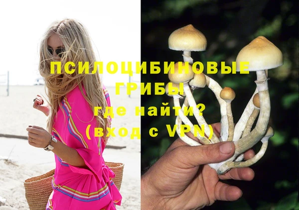 не бодяженный Волоколамск