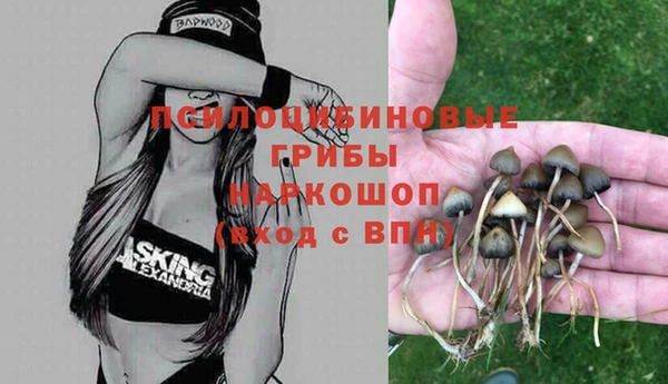 тгк Верхнеуральск