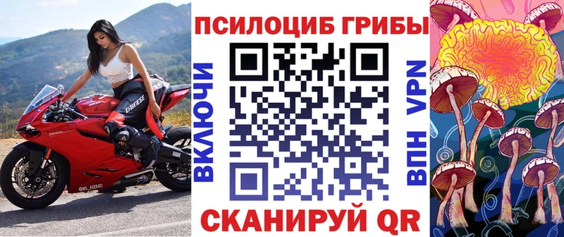 darknet клад  купить закладку  Ишим  Галлюциногенные грибы прущие грибы 